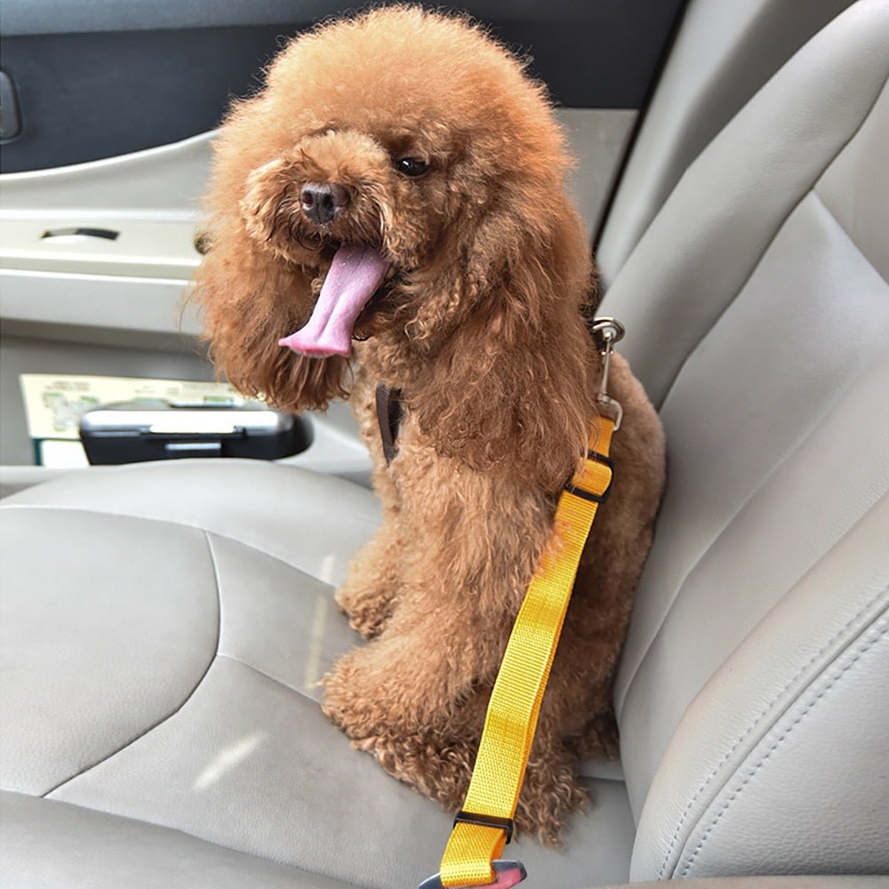 Animal de compagnie chien chat voiture ceinture de sécurité réglable harnais