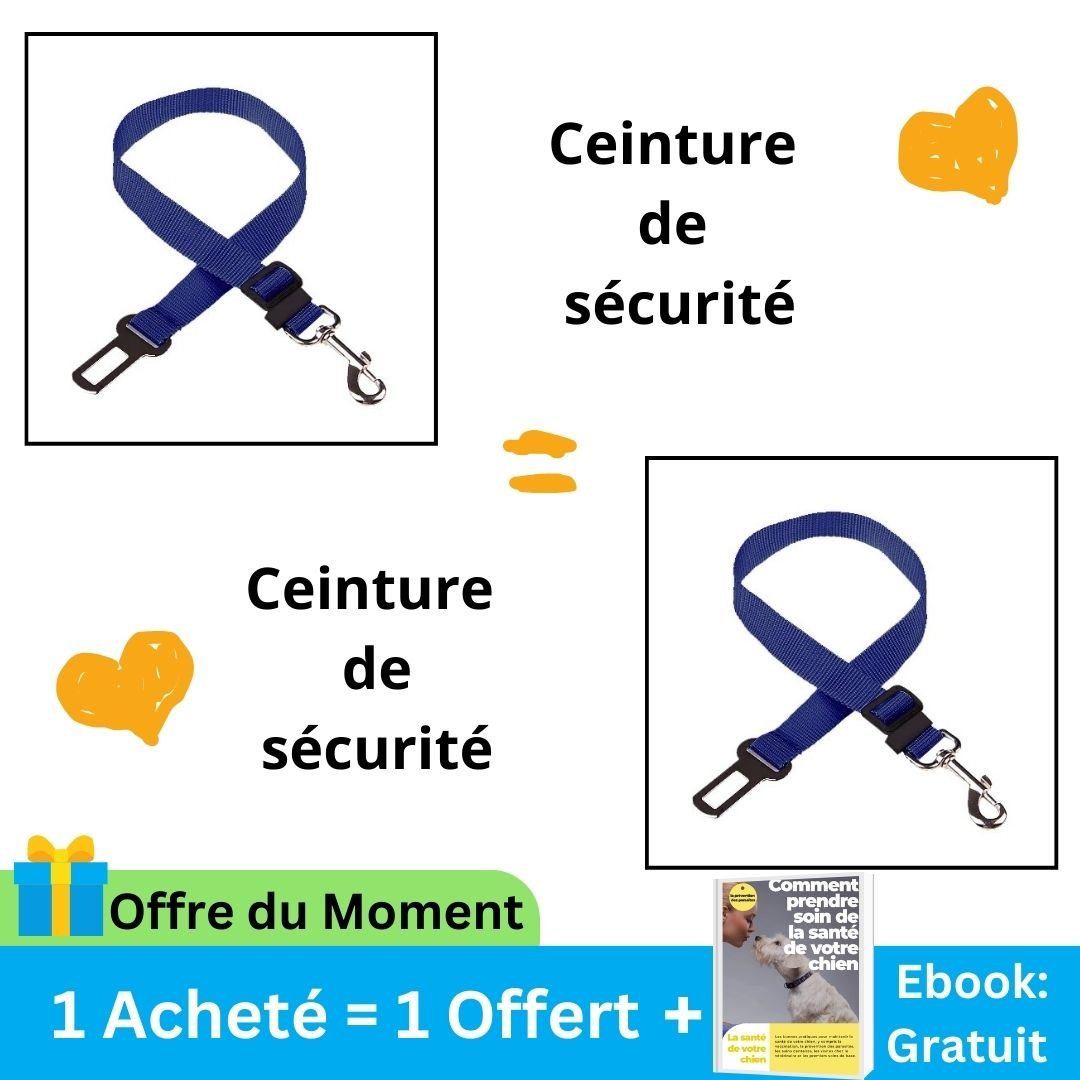 Laisse de sécurité réglable pour chien et chat. - Une vie de chiens